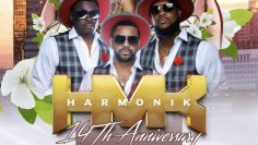 HARMONIK  14TH ANNIVERSARY